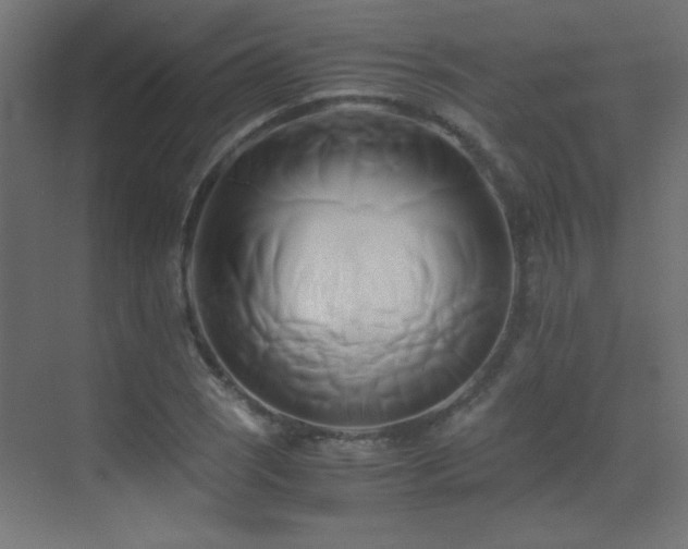 X0000071381121200606231239