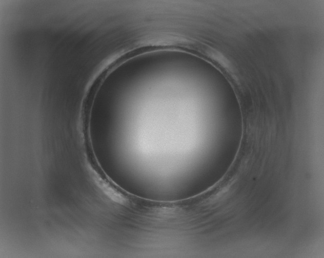 X0000071381122200606231239