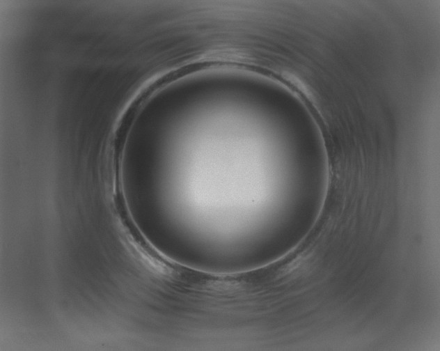 X0000071381123200606231239