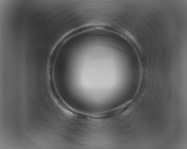 X0000071381124200606231239