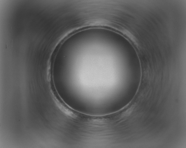 X0000071381126200606231239
