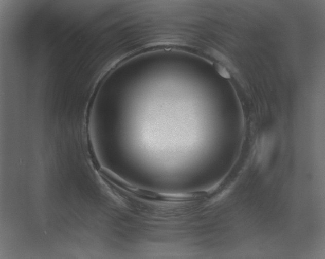 X0000071381129200606231239