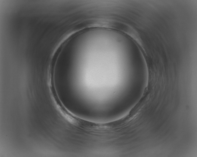X0000071381131200606231239