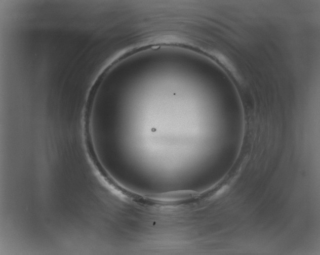 X0000071381134200606231239