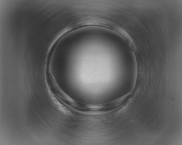 X0000071381138200606231239