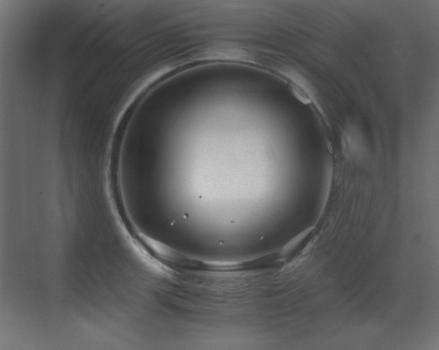 X0000071381139200606231239