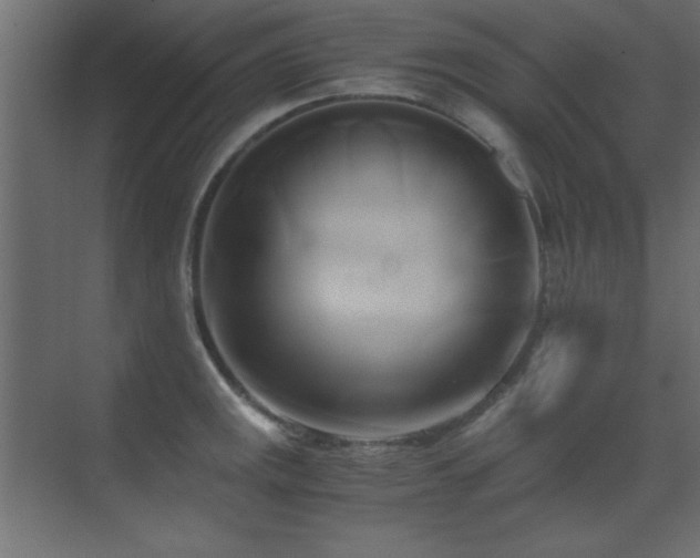 X0000071381141200606231239