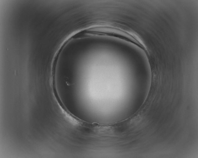 X0000071381143200606231239