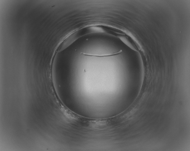 X0000071381145200606231239