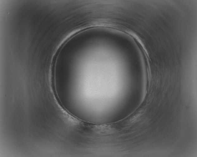 X0000071381147200606231239