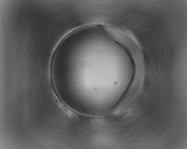 X0000071381148200606231239