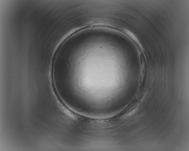 X0000071381149200606231239