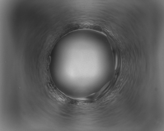 X0000071381153200606231238