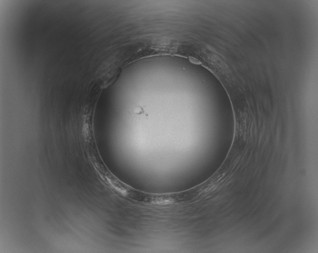 X0000071381154200606231238