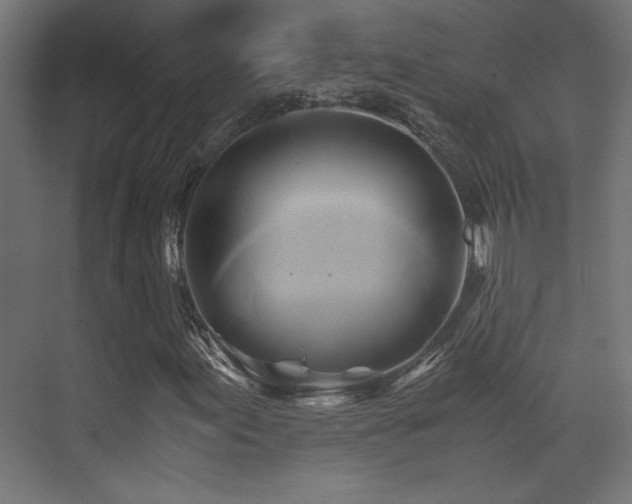 X0000071381155200606231238