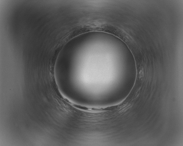 X0000071381156200606231238