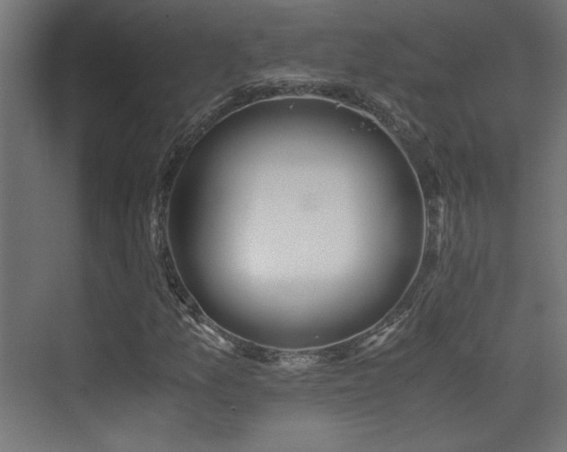 X0000071381157200606231238