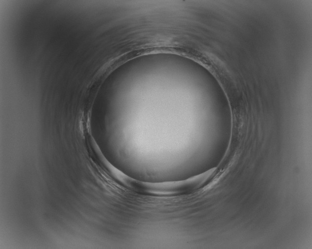 X0000071381161200606231238