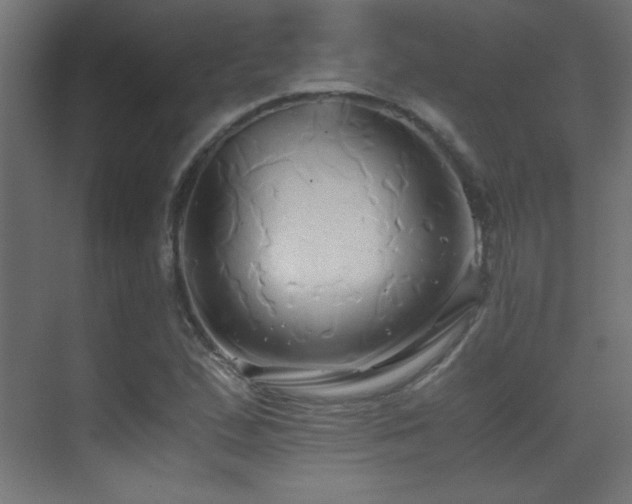 X0000071381167200606231238