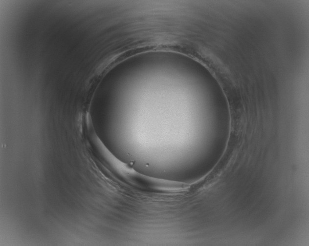 X0000071381169200606231238