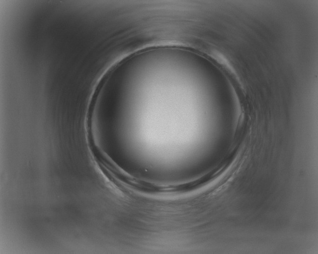 X0000071381181200606231238