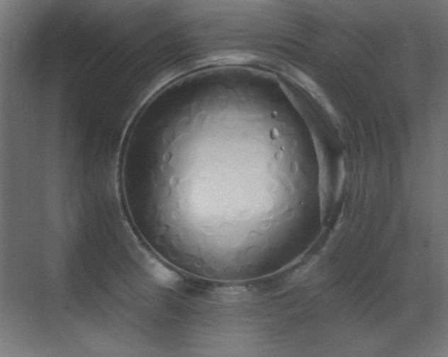 X0000071381186200606231238