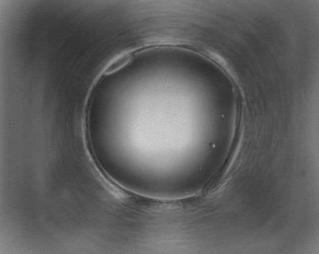 X0000071381187200606231238