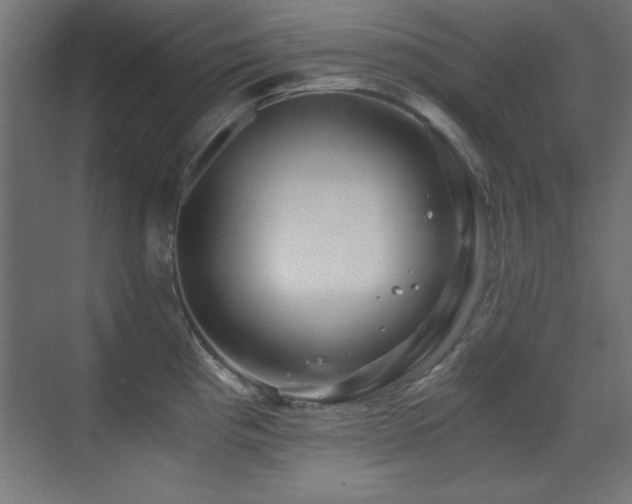 X0000071381193200606231238