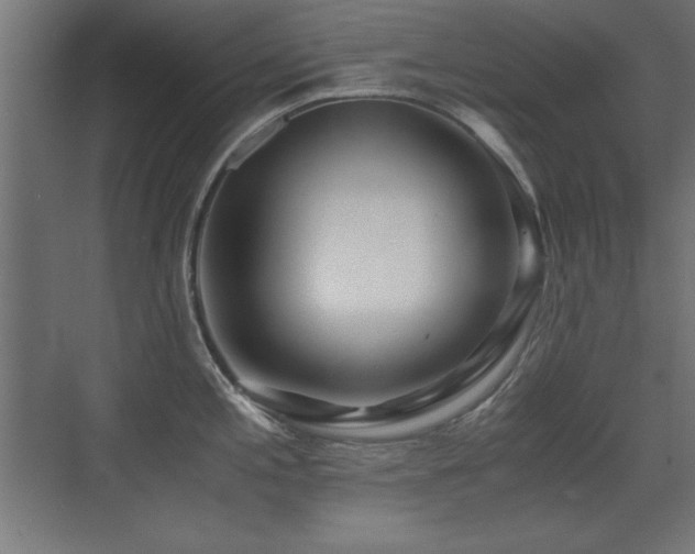 X0000071381197200606231238