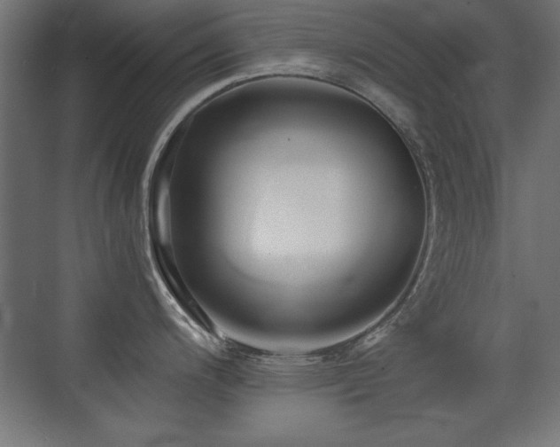 X0000071381200200606231238