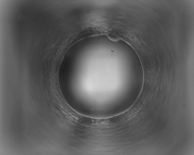 X0000071381201200606231237