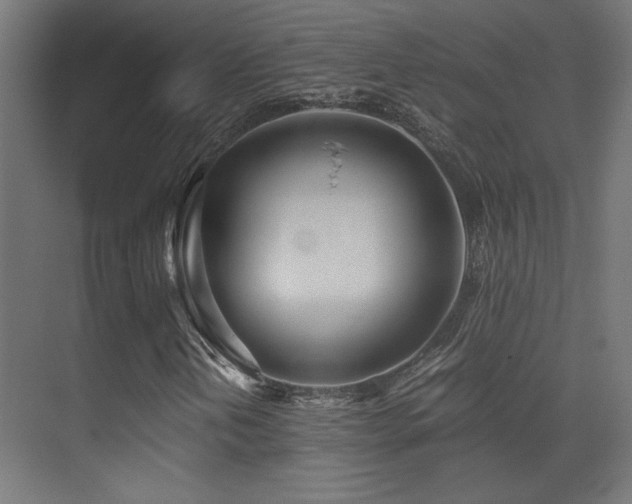 X0000071381202200606231237