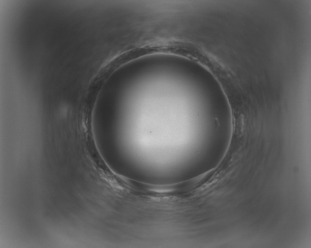 X0000071381206200606231237