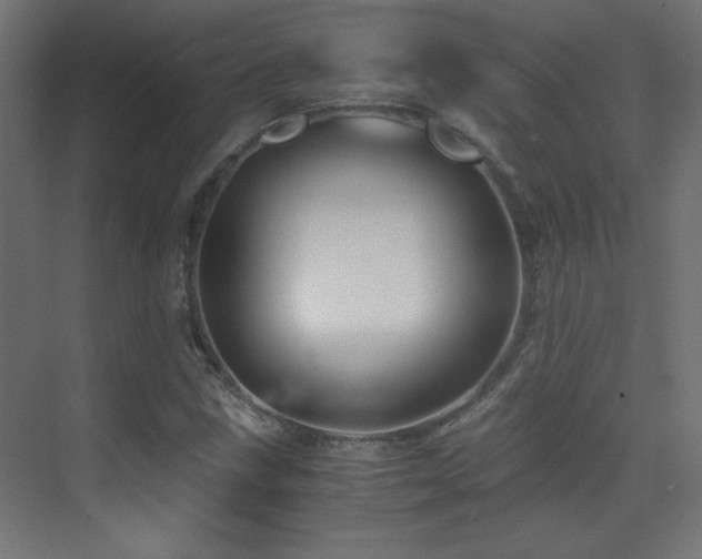 X0000071381211200606231237