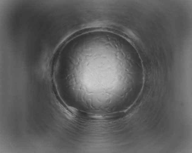 X0000071381216200606231237