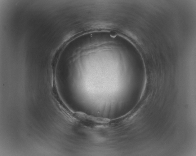 X0000071381219200606231237