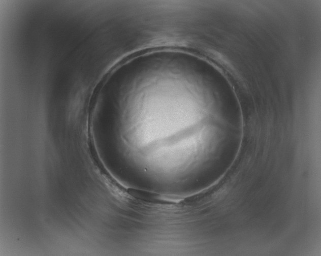 X0000071381220200606231237