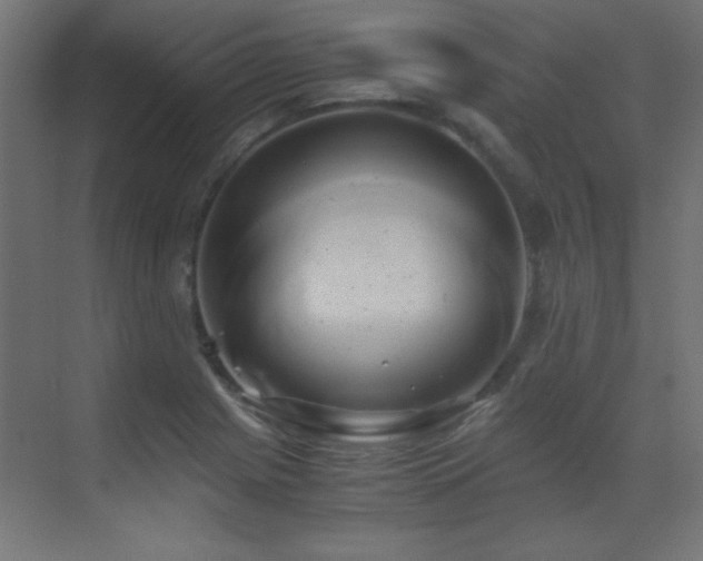X0000071381225200606231237
