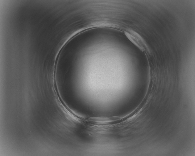 X0000071381244200606231238