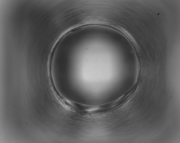 X0000071381246200606231238