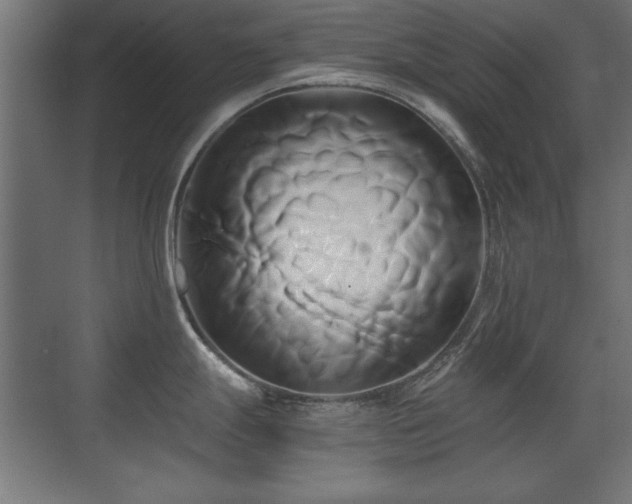 X0000071381247200606231238