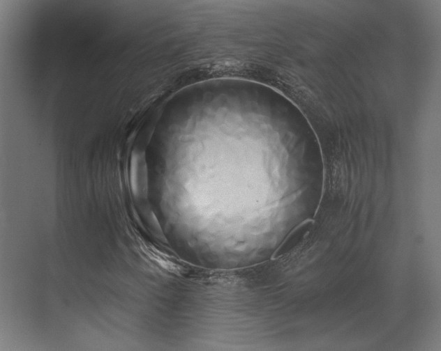 X0000071381250200606231237