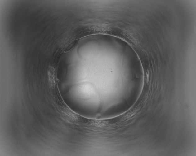 X0000071381251200606231237