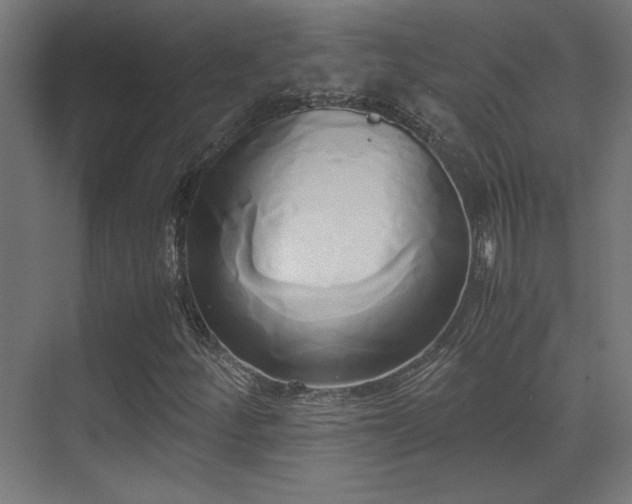 X0000071381252200606231237