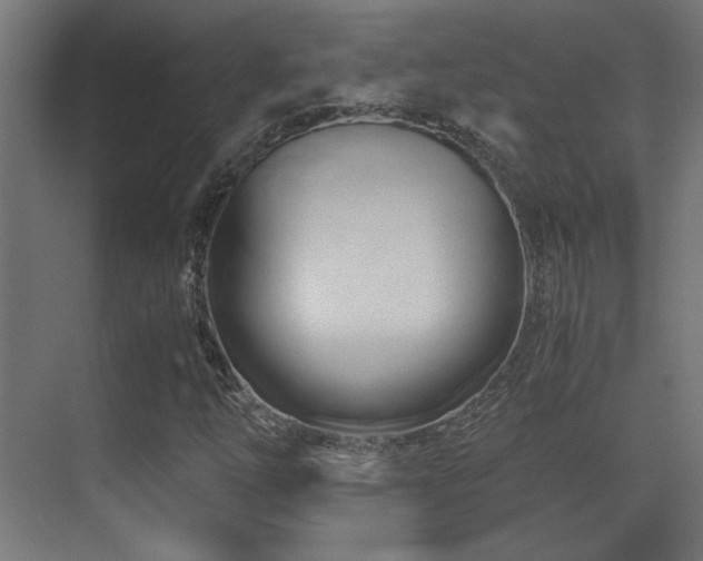 X0000071381254200606231237