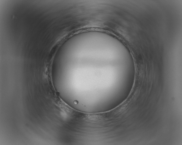 X0000071381258200606231237