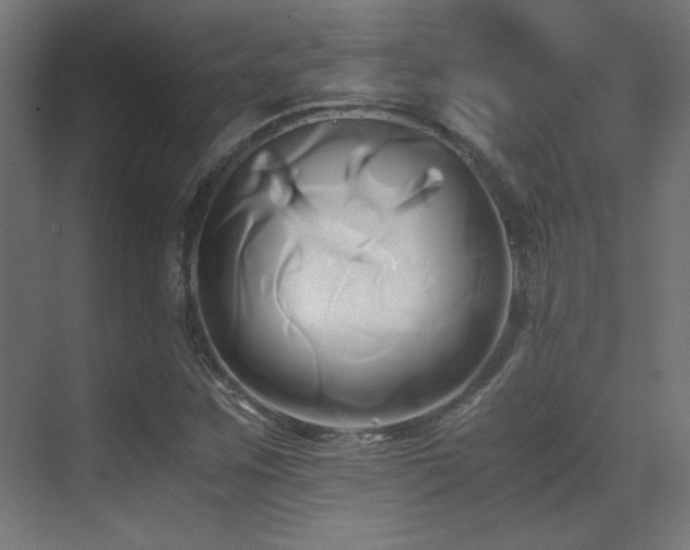 X0000071381259200606231237