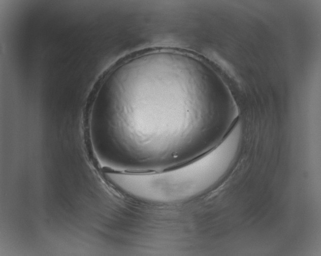 X0000071381264200606231237