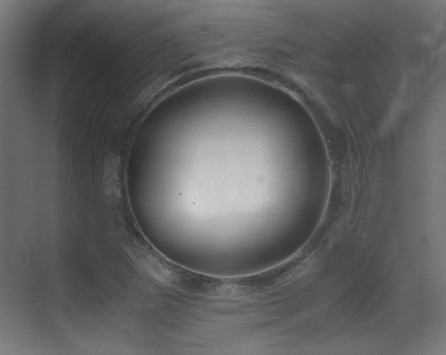 X0000071381265200606231237