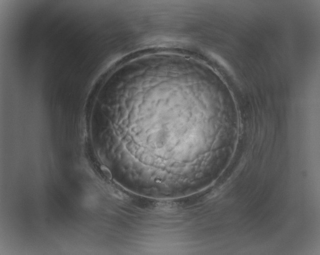 X0000071381267200606231236